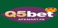 Q5Bet Game Download